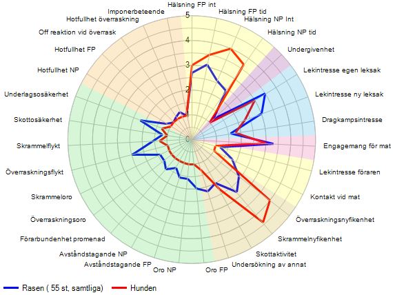 Spindeldiagram för en Berner Sennenhund